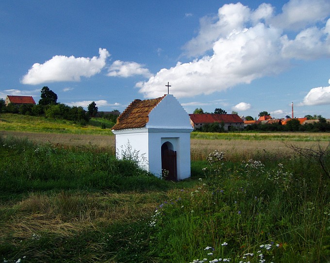 Byczeń po raz enty