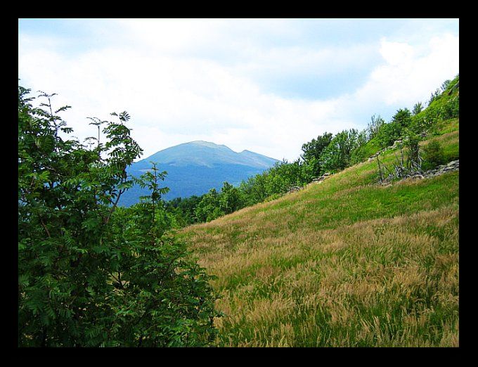 Tarnica....