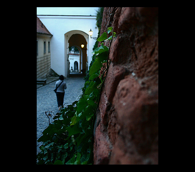 Miasto Mikulov u naszych Czeskich sąsiadów