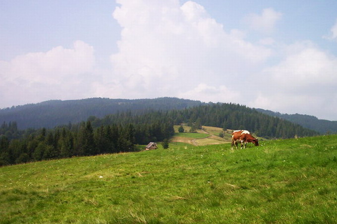 Beskid Żywiecki