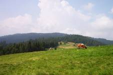 Beskid Żywiecki