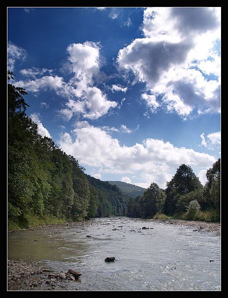 Bieszczady 2005, okolice Kalnicy