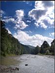 Bieszczady 2005, okolice Kalnicy