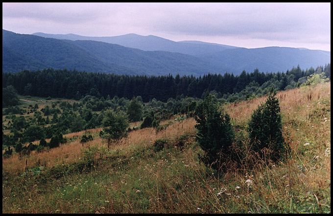 Bieszczady Wysokie