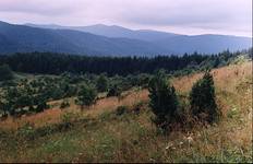 Bieszczady Wysokie