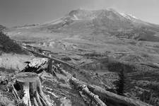 Mt St Helens