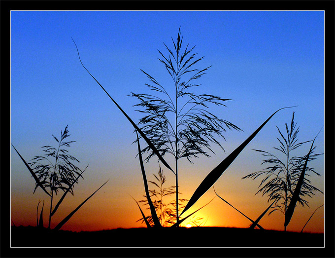 Zachodźże słoneczko ... Mazury 2005 ...