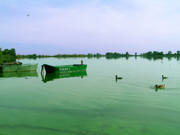 jezioro w Kunicach :)