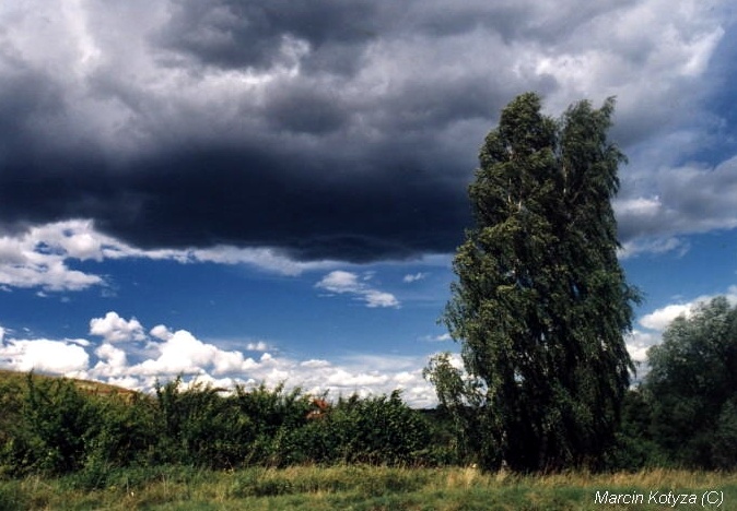 Cisza przed burzą