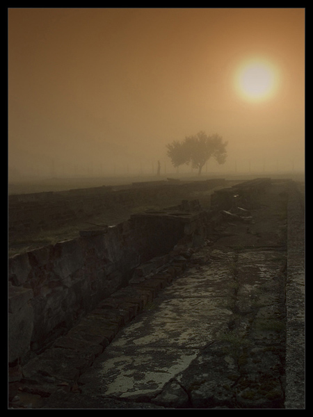 Auschwitz-Birkenau