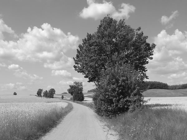 Mazury