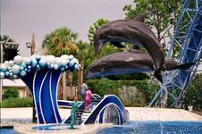 Sea World - Orlando, FL