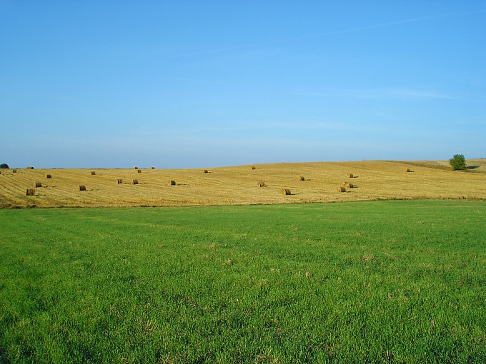 Jesień czy wiosna?