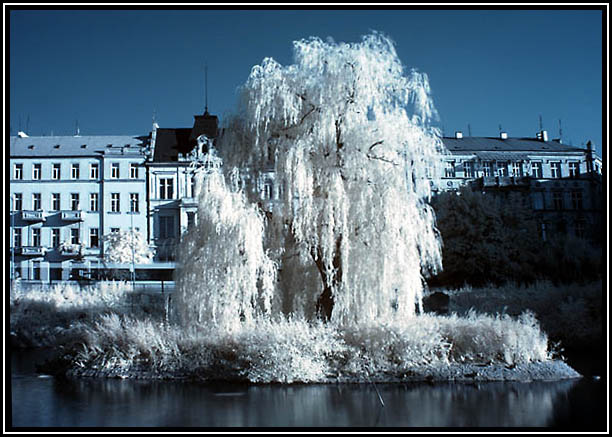 Wrocław IRracjonalny