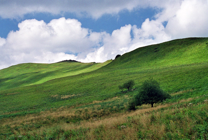 Gdzie biesy i czady...