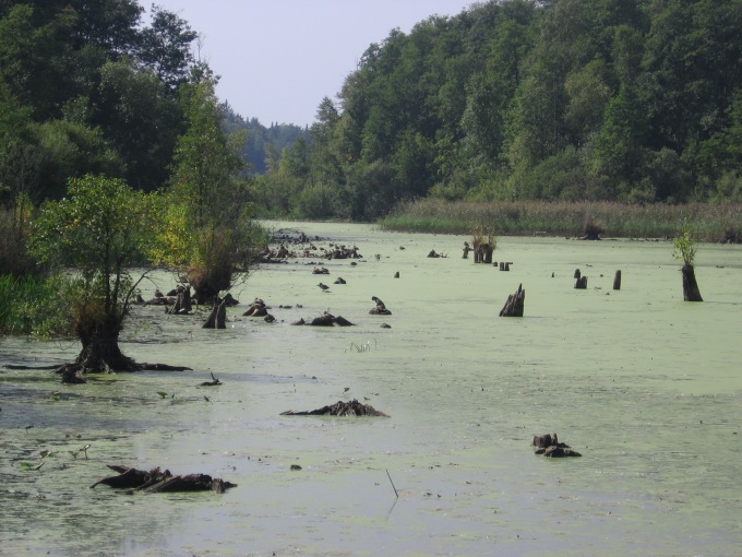 Białowieski Park Narodowy