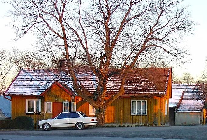 Lubinka - dom pod kasztanowcem