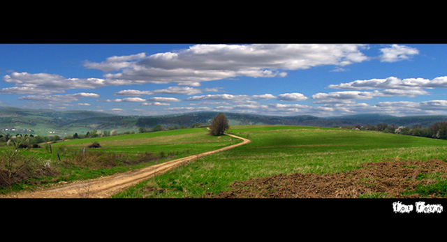 Polską drogą