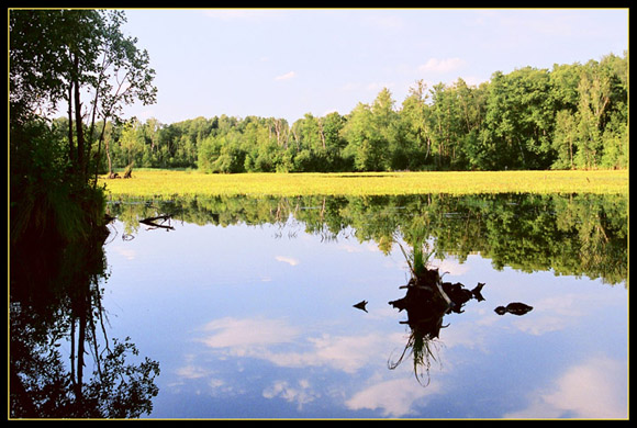 By the lake