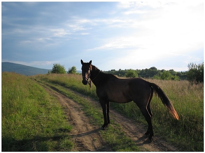 Beskid Niski