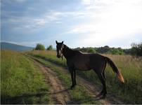 Beskid Niski