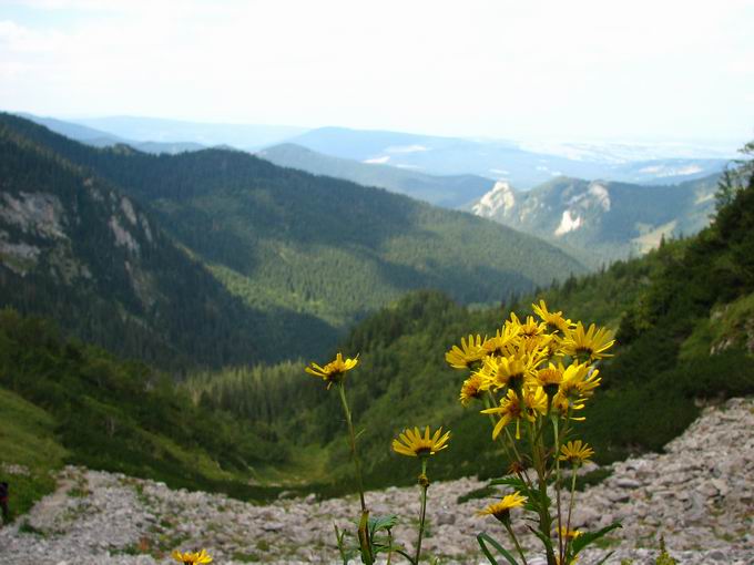 Tatry dwa tygodnie temu.