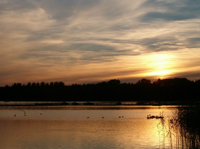 Wieczorową porą.