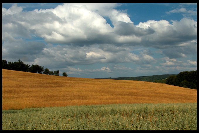 Trochę późnego lata