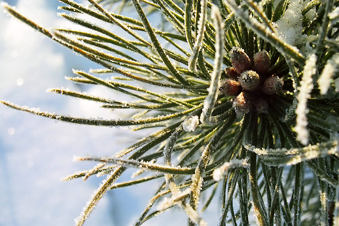 -21°C