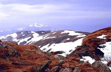 "Moje Bieszczady - pod Tarnicą"