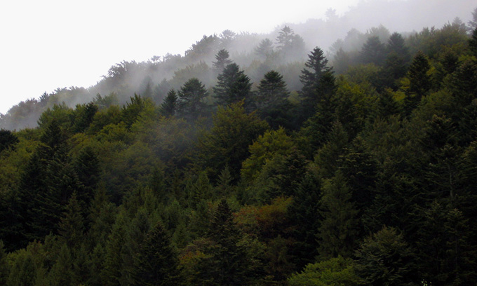 ...bieszczady