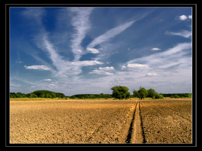 Podlasie