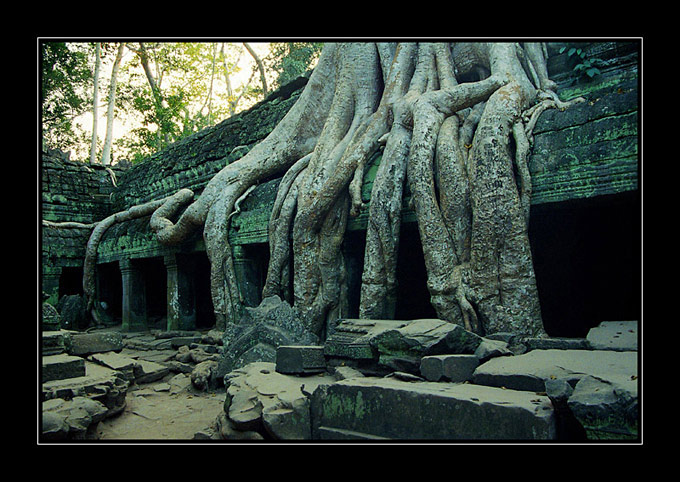 Angkor-Wat