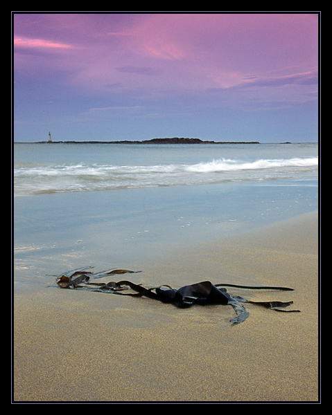 Scotland, Auldhame coast