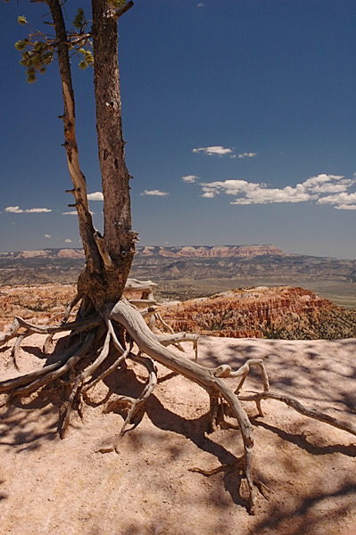 Utah