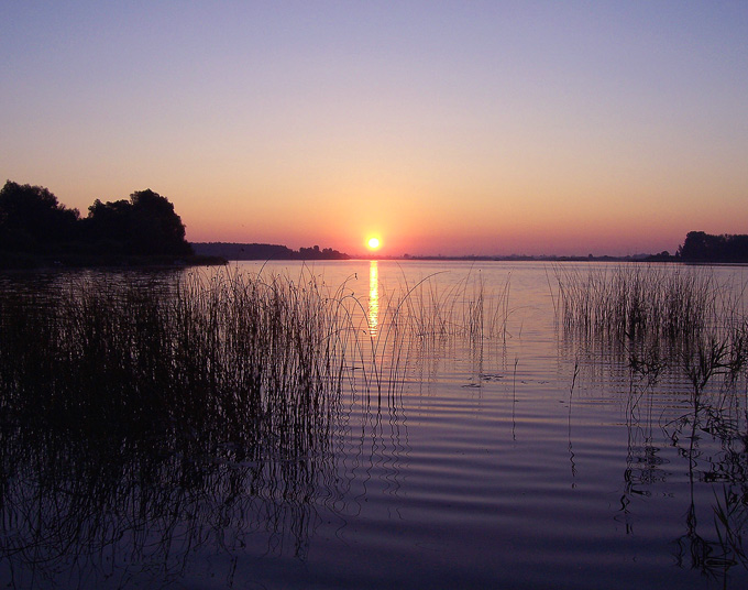 wstaje dzień