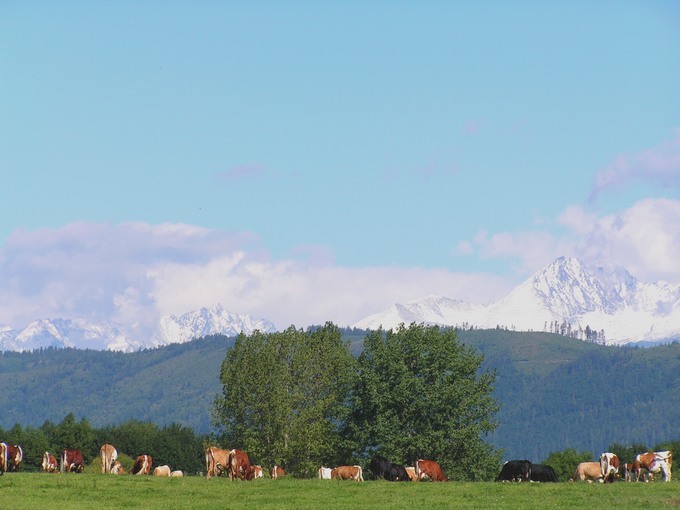 Słowackie Tatry- latem!!!