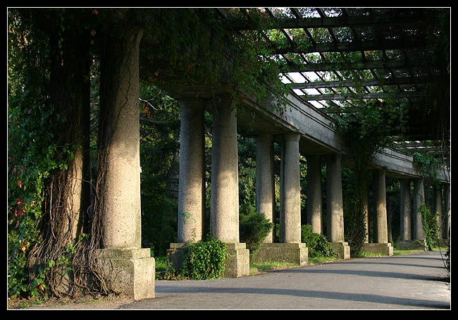 Pergola późnym popołudniem