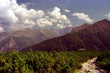 Tatry