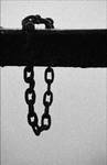 Chain....of life