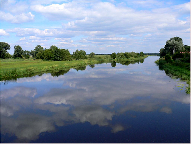 Narew w Tykocinie