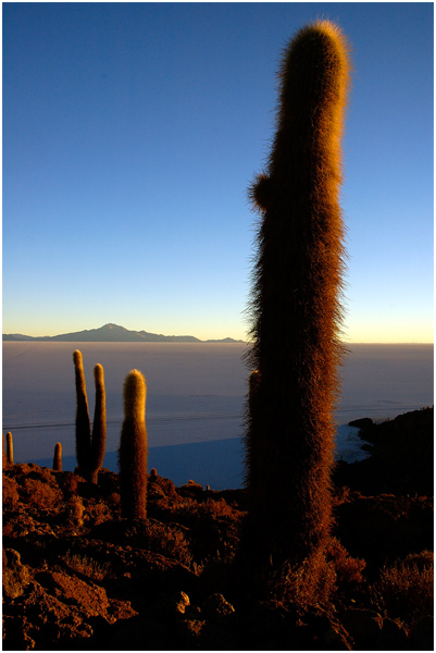 Uyuni