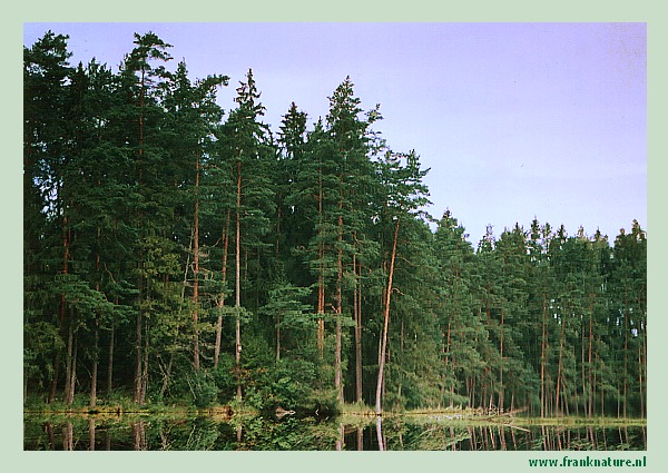 Wigierski Park Narodowy I