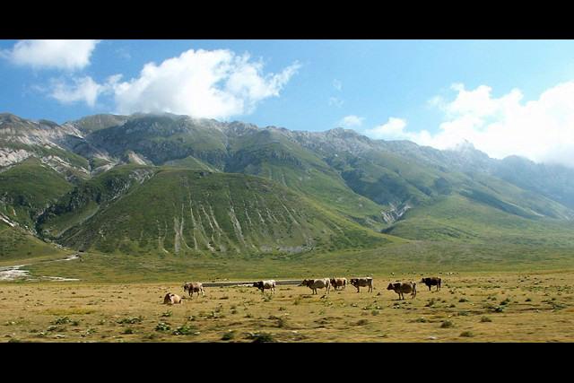 Pastwiska na Campo Imperatore