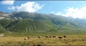 Pastwiska na Campo Imperatore