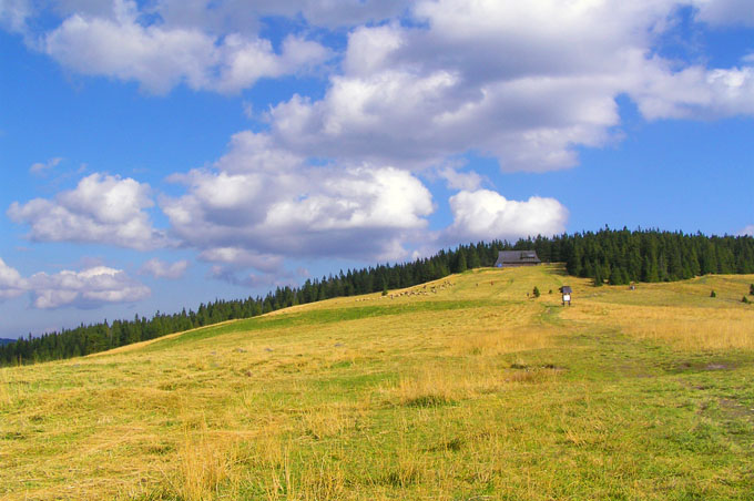 Paweł Halastra frt