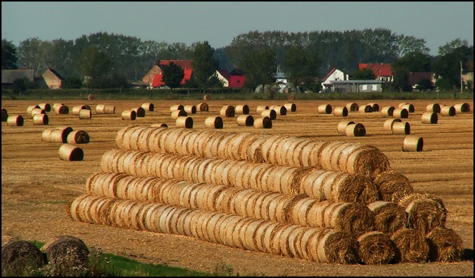 A to Polska właśnie..05