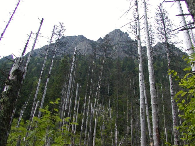 tatry