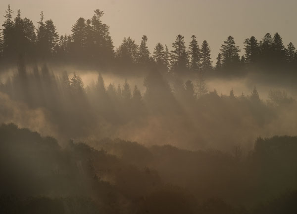 Świt w Beniowej (Bieszczady)