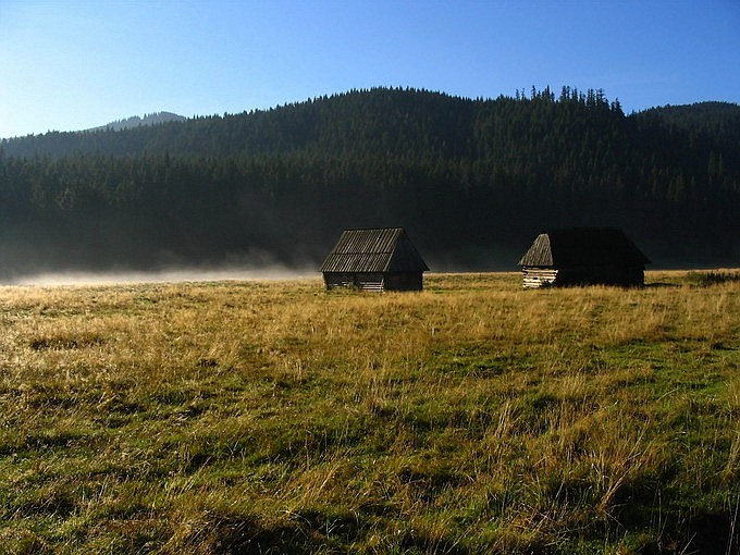 Budzi mnie brzask....